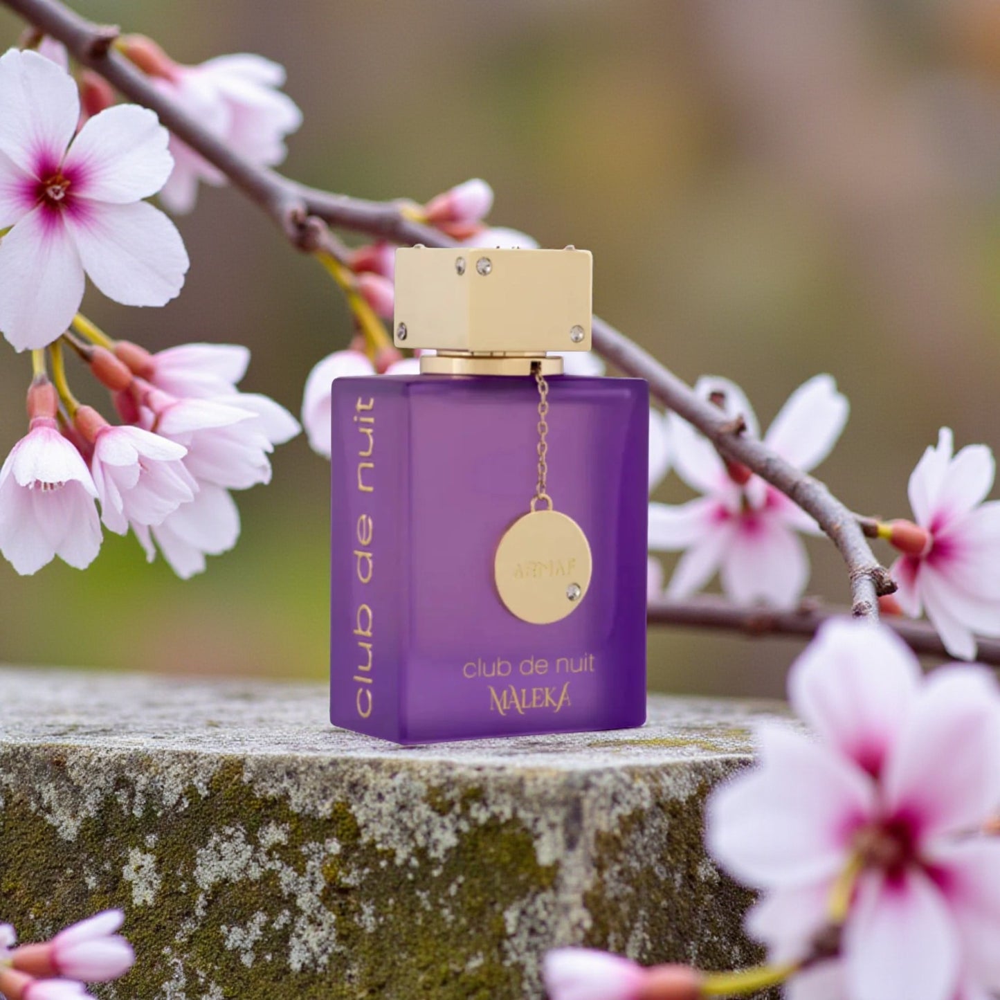 CLUB DE NUIT MALEKA EAU DE PARFUM✔️